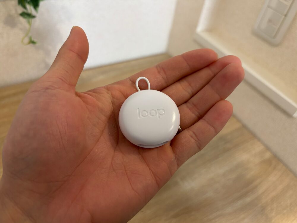 Loop Quiet 2のケースの画像